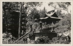 Japanese Garden, Golden Gate Park San Francisco, CA Postcard Postcard Postcard