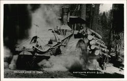 Hauling Logs in 1905 Postcard