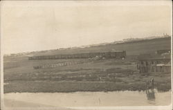 Loading Cattle Trains, Railroad Postcard Postcard Postcard