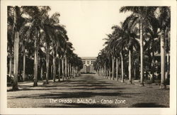 The Prado Balboa, Panama Postcard Postcard Postcard