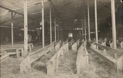 Revival Hall Interior Postcard