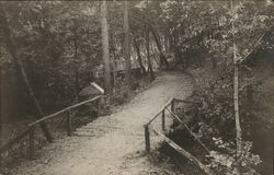 Road Through Woods Postcard