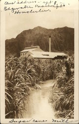 Sugar Cane Mill Hawaii Postcard Postcard Postcard