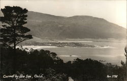 View of Town and Coast Carmel-by-the-Sea, CA Postcard Postcard Postcard