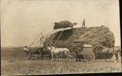 Haying - VD Ranch, 210 Miles NW of Kansas City Missouri Postcard Postcard Postcard