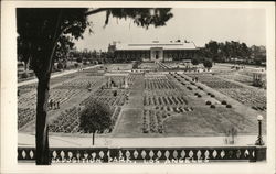 Exposition Park Postcard