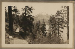 Fallen Leaf Lake Postcard