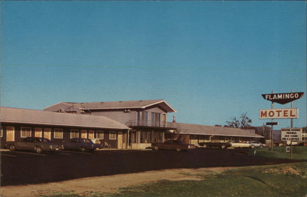 Flamingo Motel Tipton, IN Postcard