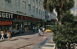 Lincoln Road Mall Miami Beach, FL Postcard Postcard Postcard