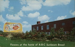 Aroostook Baking Company Postcard