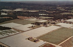 Aerial View of Tobacco Valley Windsor, CT Postcard Postcard Postcard