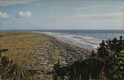 Benson Beach, North Head Ilwaco, WA Postcard Postcard Postcard