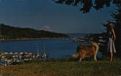 Gig Harbor, Washington Postcard Postcard Postcard