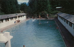 Swimming Pool Postcard