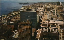 From Smith Tower's Observation Platform Seattle, WA Postcard Postcard Postcard