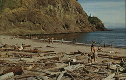 Waikiki Beach, Cape Dissapointment Ilwaco, WA Postcard Postcard Postcard