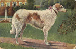 Borzoi Postcard