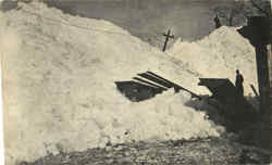 Blizzard Damage Postcard