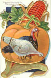 Everyone Has Cause For Thanksgiving But The Turkey Turkeys Postcard Postcard