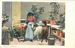 Malta Milkseller Postcard