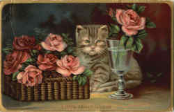 Little Mischievous Cats Postcard Postcard