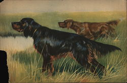 Hunting Dogs Postcard