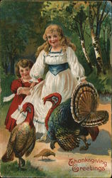 Thanksgiving Greetings Postcard