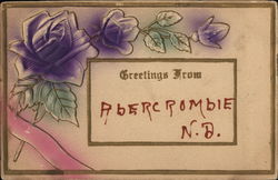 Greetings from Abercrombie, N.D. Postcard