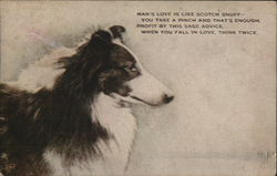 Painting of Dog Postcard