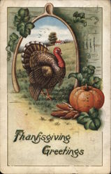 Thanksgiving Greetings Turkeys Postcard Postcard