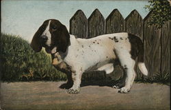 Bassett Hound Dogs Postcard Postcard