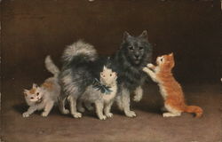 A Gray And White Cat With Her Three Kittens Postcard