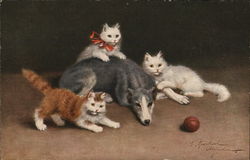 Calm Dog Posing With Cats Postcard