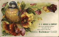 D.S. Andrus & Company Sohmer Pianos Postcard Postcard