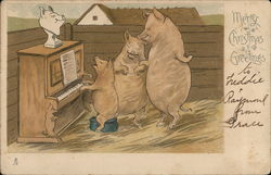 Pigs Singing Around Piano Pianos Postcard Postcard