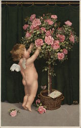 Cupid and Rose Bush Postcard