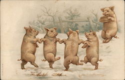 Dancing Pigs Postcard Postcard