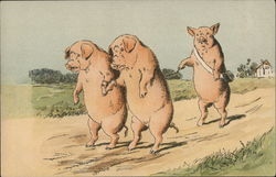 THREE PIGS WALKING DOWN ROAD Postcard