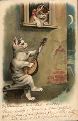 Cat Serenade Postcard