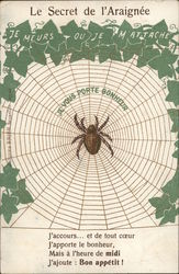 Le Secret de I'Araignee Spider & Web Postcard Postcard