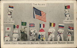 The Allies Postcard