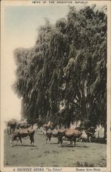 "La Fidela" - A Country Scene - Views of the Argentine Republic Postcard