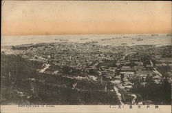 Birds-Eye View Postcard