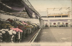 Scenic Gardens Postcard