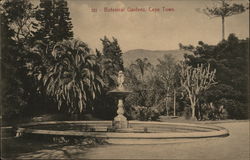 Botanical Gardens Cape Town, South Africa Postcard Postcard