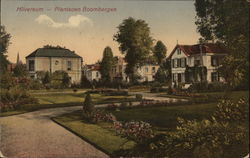 Planisoem Boombergen Postcard