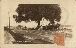 Rua Barao de Penedo Brazil Postcard Postcard