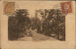 Varmlandsmotiv Sweden Postcard Postcard