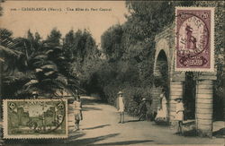 An Alley in Central Park Casablance, Morocco Africa Postcard Postcard