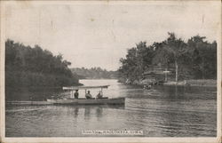 River View Postcard